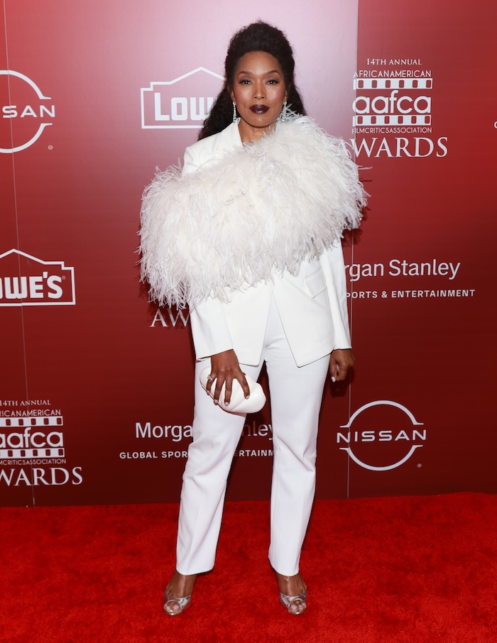 14th Annual AAFCA Awards - Arrivals