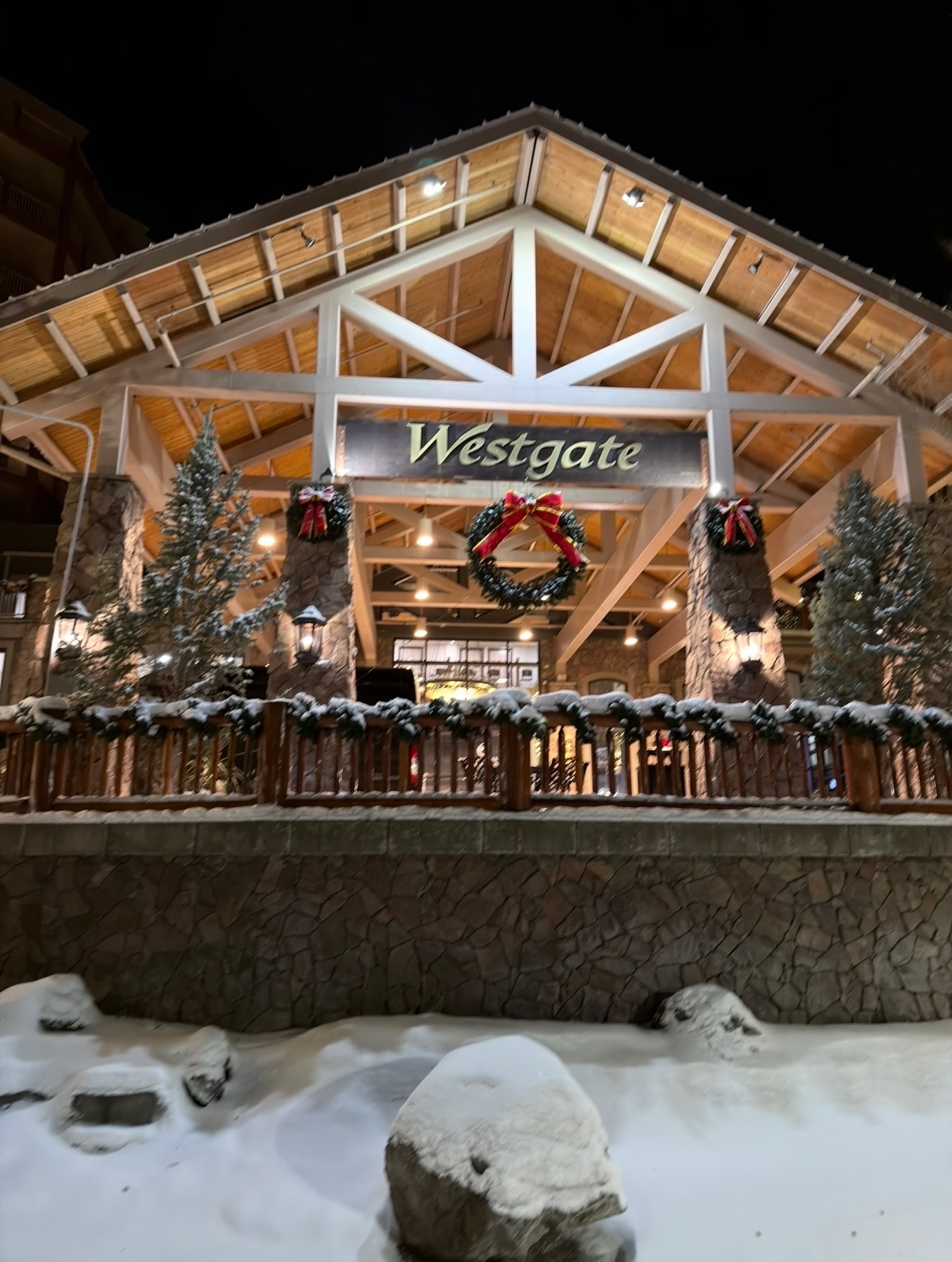 Woman in winter attire in a snowy landscape.