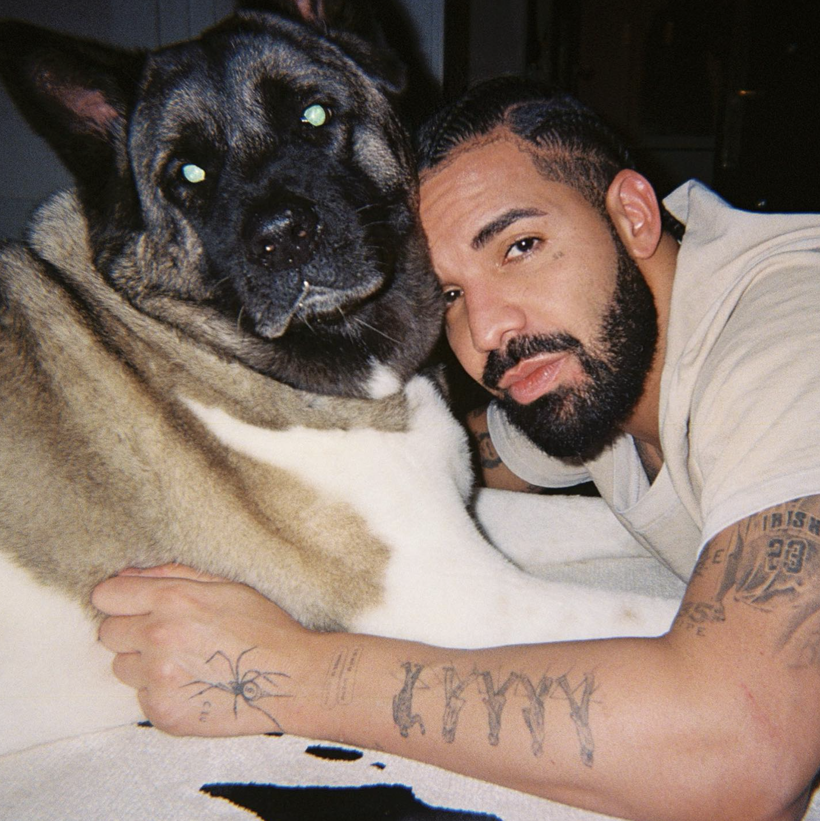 Drake