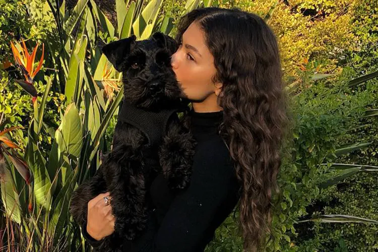 These Black Celebrities Love Their Dogs Like Actual Children and Honestly Same
